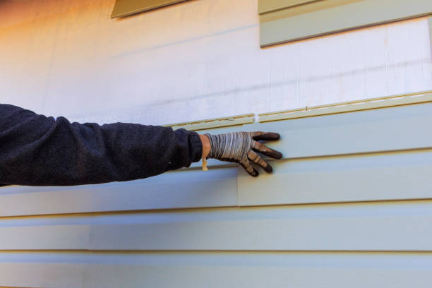 Best Vinyl Siding Installation  in New Buffalo, MI